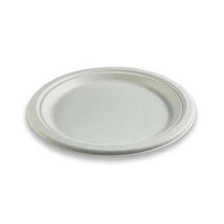 Plato caña de azúcar 22,5 cm